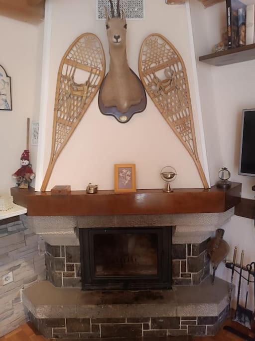 Pena Telera Petfriendly - Arafita Apartamentos El Pueyo de Jaca Luaran gambar