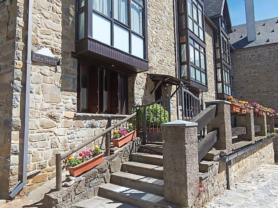 Pena Telera Petfriendly - Arafita Apartamentos El Pueyo de Jaca Luaran gambar